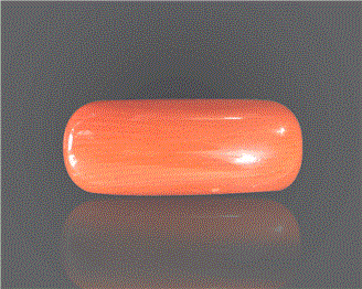 Natural Coral  9.15RTS-27406